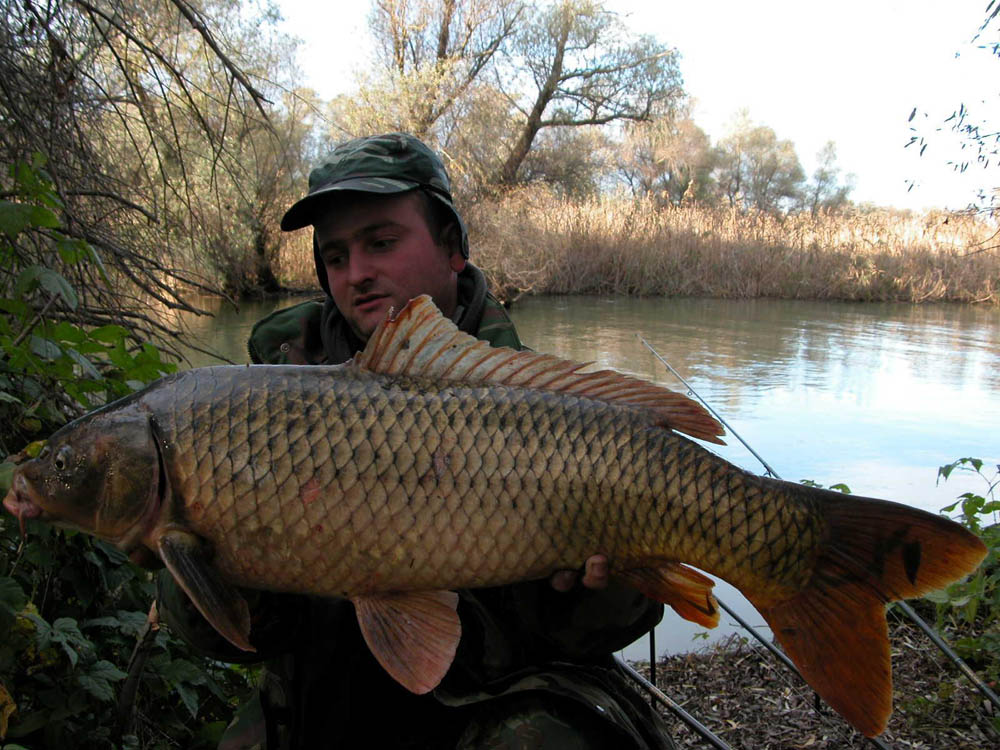 BRIGADA DIVERSE  - DSCN0390.JPG